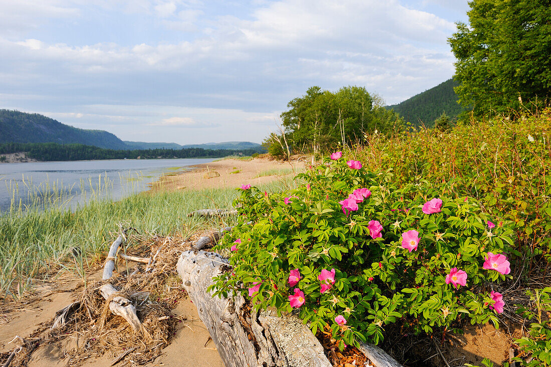 Saguenay-Nationalpark, Baie Sainte-Marguerite, Provinz Québec, Kanada, Nordamerika