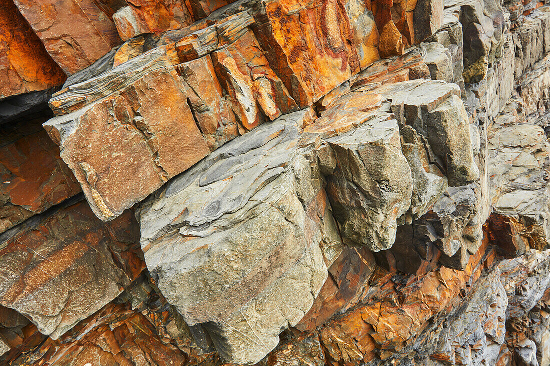 Gefaltete Sedimentgesteine in den Klippen von Welcombe Mouth an der Atlantikküste; Hartland, Nord-Devon, England, Vereinigtes Königreich, Europa