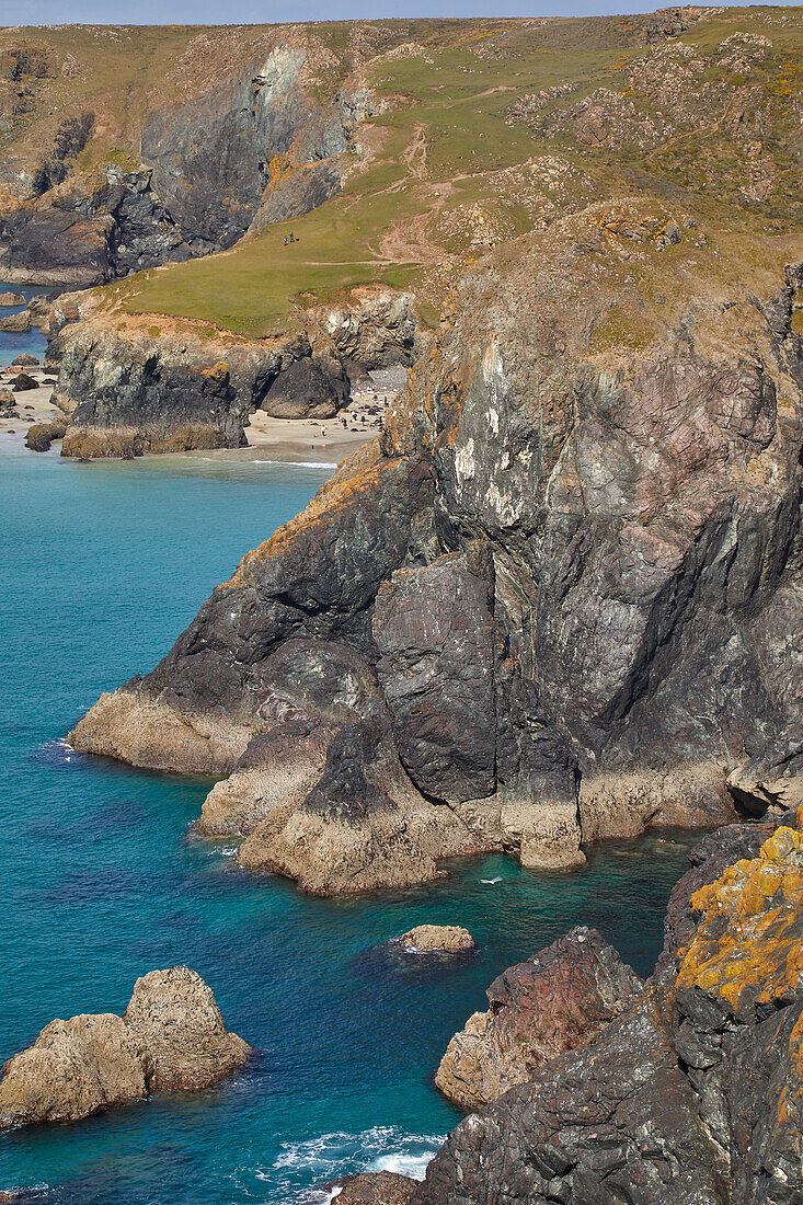 Der atemberaubende Strand, die Felsen und Klippen von Kynance Cove, gesehen bei Ebbe, in der Nähe von Lizard Point, Cornwall, England, Vereinigtes Königreich, Europa