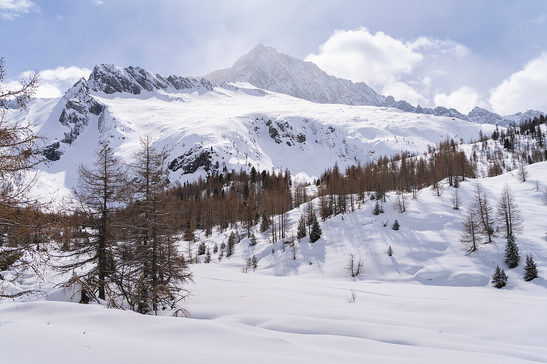 Wanderung im Adamello Park im Winter, Vallecamonica, Provinz Brescia, Lombardei, Italien, Europa