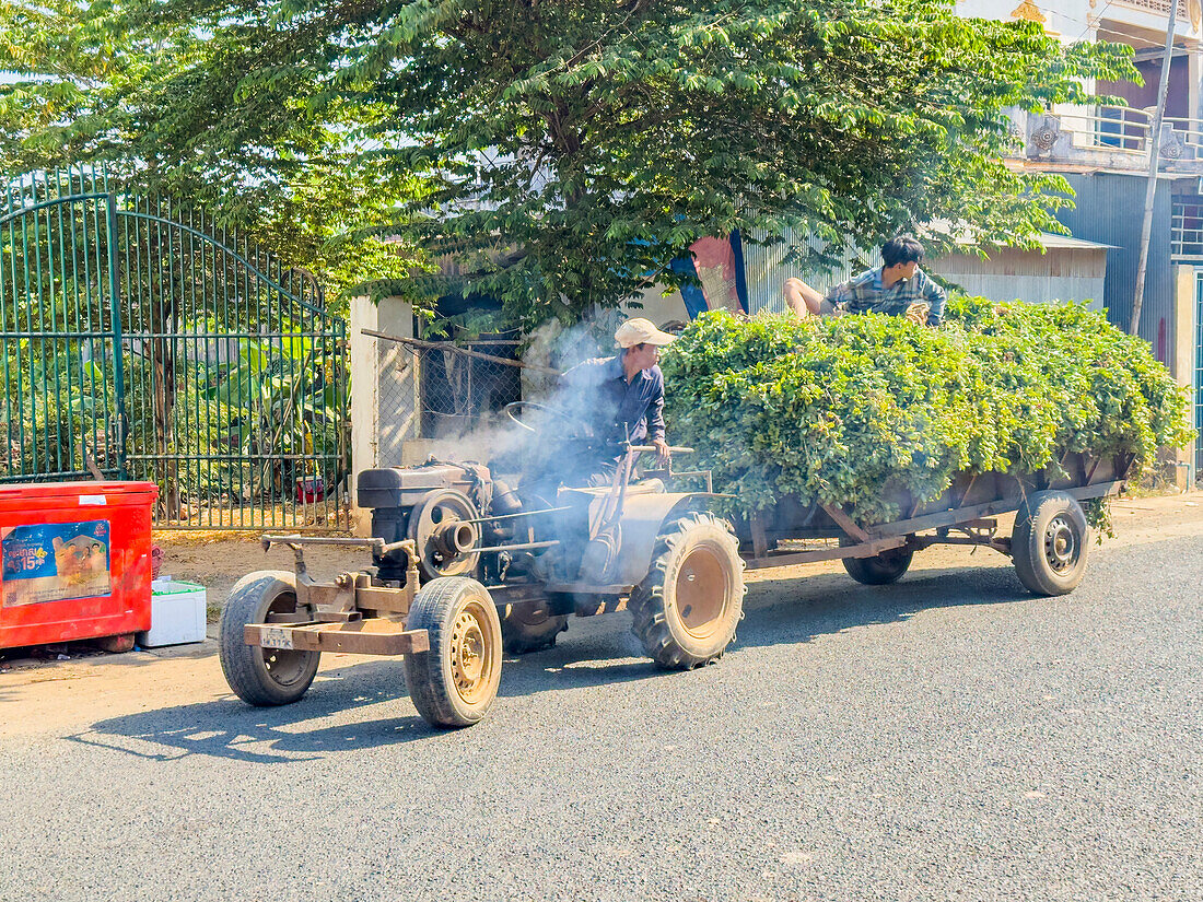 Zwei junge Männer bringen ihre Ernte zum Markt in dem kleinen Dorf Angkor Ban, Provinz Battambang, Kambodscha, Indochina, Südostasien, Asien