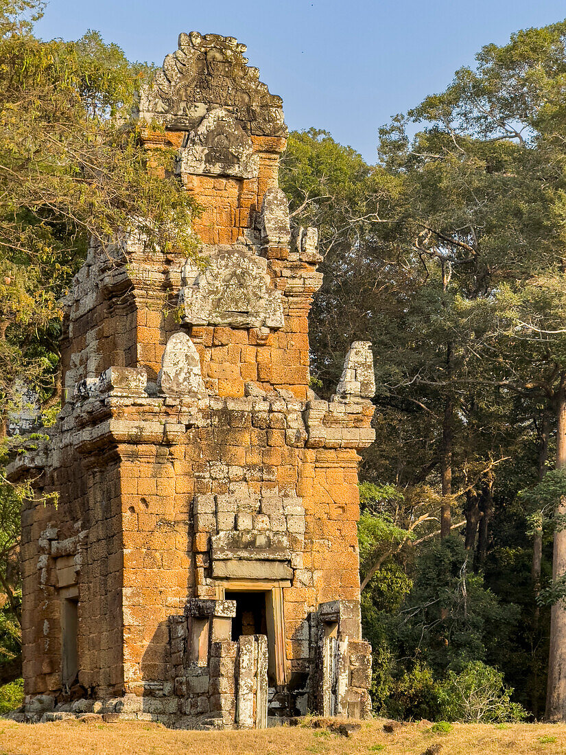 The Terrace of the Leper King, part of the walled city of Angkor Thom, a ruined temple complex in Angkor, UNESCO World Heritage Site, Cambodia, Indochina, Southeast Asia, Asia