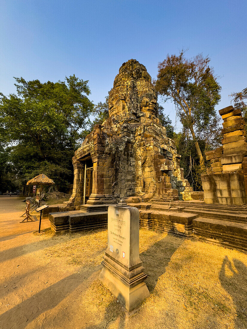 Ta-Prohm-Tempel, ein buddhistisches Mahayana-Kloster, das im späten 12. Jahrhundert für den Khmer-König Jayavarman VII. erbaut wurde, Angkor, UNESCO-Welterbe, Kambodscha, Indochina, Südostasien, Asien