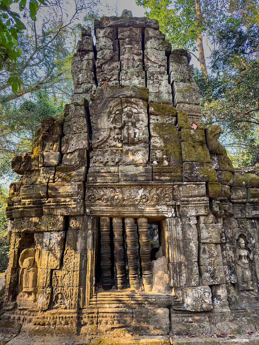 Ta-Prohm-Tempel, ein buddhistisches Mahayana-Kloster, das im späten 12. Jahrhundert für den Khmer-König Jayavarman VII. erbaut wurde, Angkor, UNESCO-Welterbe, Kambodscha, Indochina, Südostasien, Asien