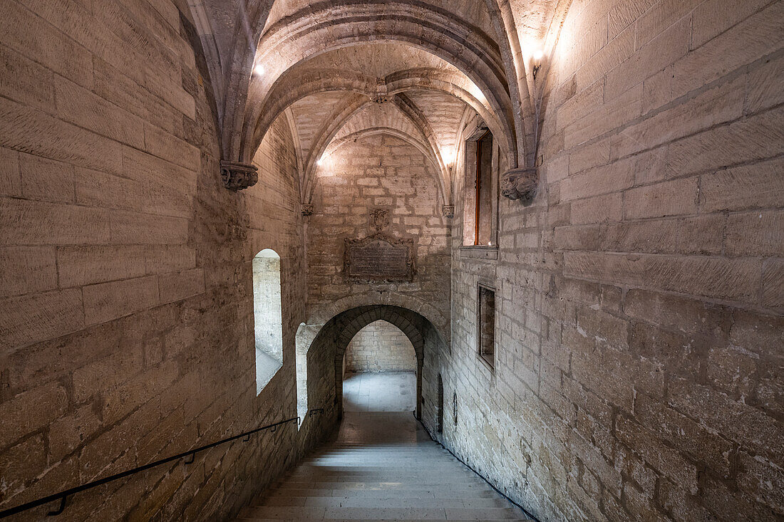 Palace of the Popes, Avignon, UNESCO World Heritage Site, Vaucluse, Provence-Alpes-Cote d'Azur, France, Europe