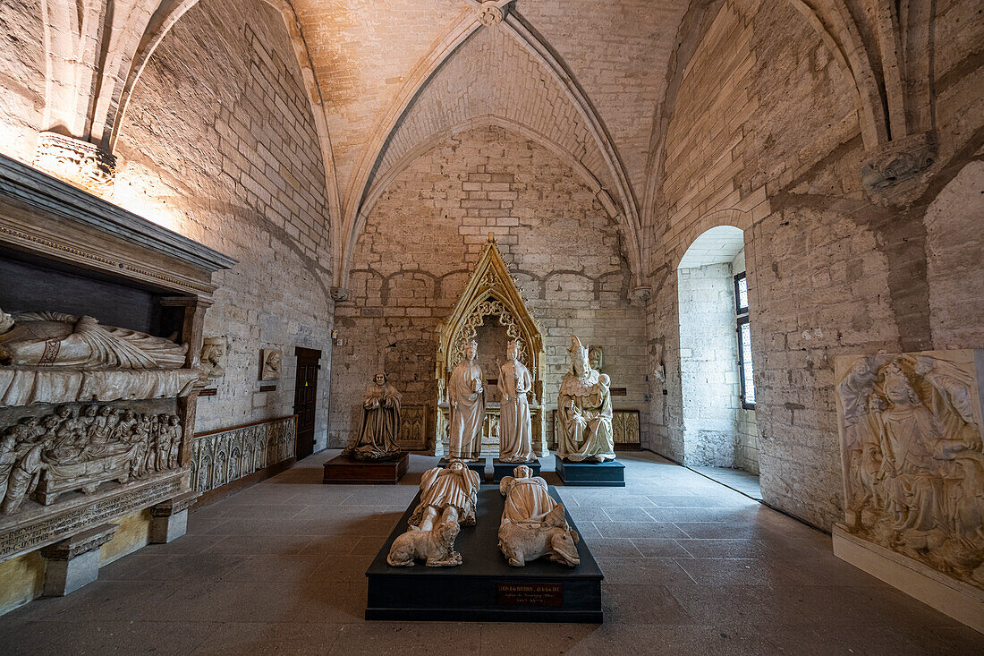 Palace of the Popes, Avignon, UNESCO World Heritage Site, Vaucluse, Provence-Alpes-Cote d'Azur, France, Europe