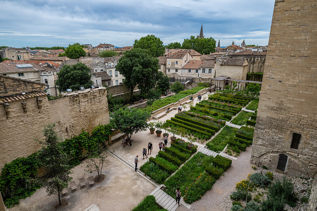 Palace of the Popes, Avignon, UNESCO World Heritage Site, Vaucluse, Provence-Alpes-Cote d'Azur, France, Europe