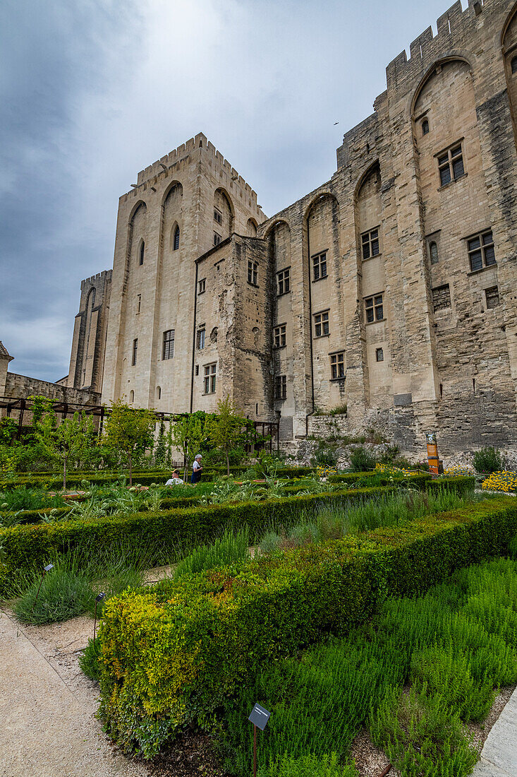 Palace of the Popes, Avignon, UNESCO World Heritage Site, Vaucluse, Provence-Alpes-Cote d'Azur, France, Europe