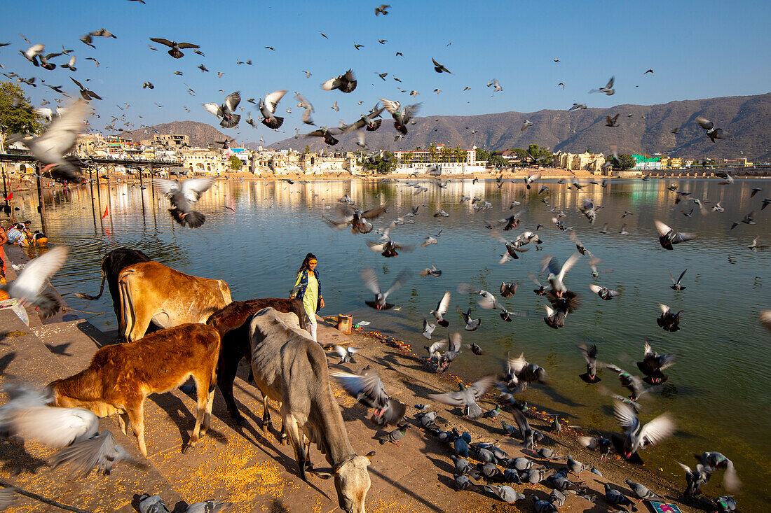 Pilger am Pushkar-See bei Sonnenuntergang, Pushkar, Rajasthan, Indien, Südasien, Asien