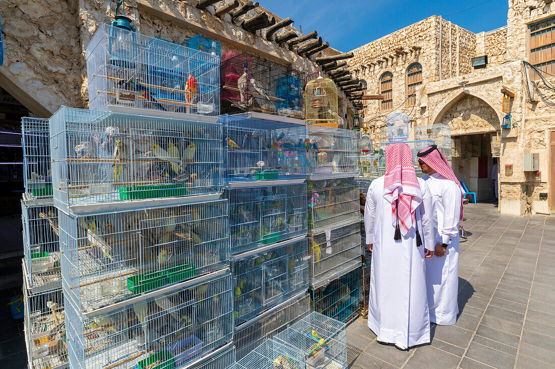 Vogelmarkt im Souq Waqif, Doha, Katar, Naher Osten