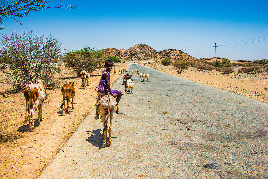 Junge reitet auf einem Esel im Tiefland von Eritrea, Afrika