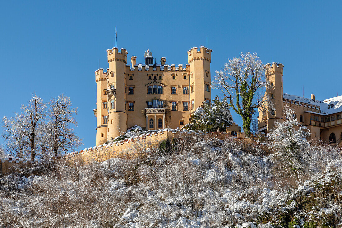 Schloss Hohenschwangau, Schwangau, Fussen, Schwaben, Bayerische Alpen, Bayern, Deutschland, Europa