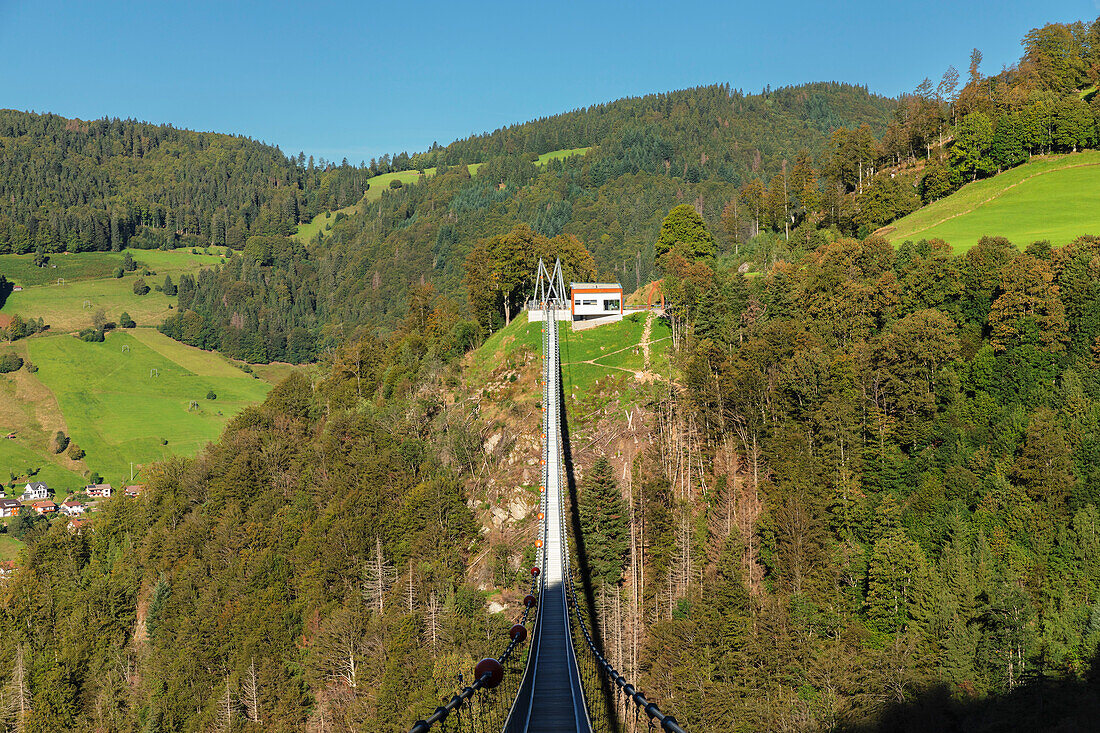 Schwarzwaldbahn-Hängebrücke, Todtnau, Schwarzwald, Baden-Württemberg, Deutschland, Europa