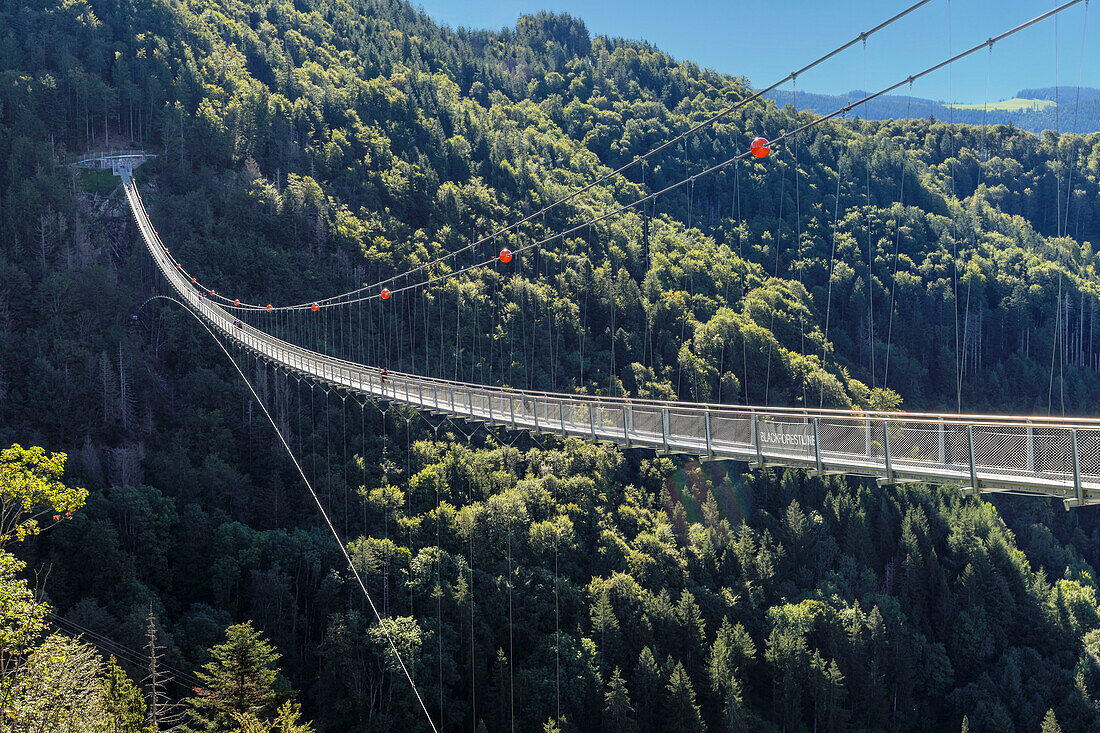 Schwarzwaldhochbrücke, Todtnau, Schwarzwald (Schwarzwald), Baden-Württemberg, Deutschland, Europa