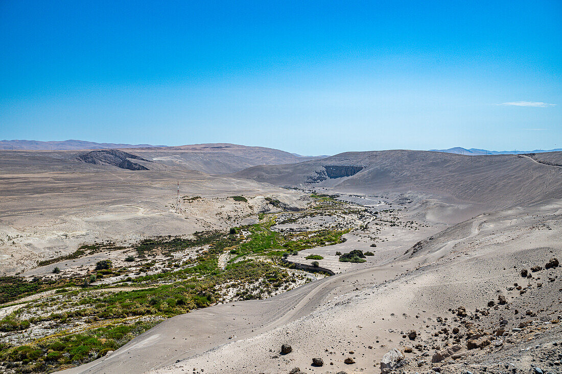 Grüner Canyon in der trockenen Atacama-Wüste, Chile, Südamerika