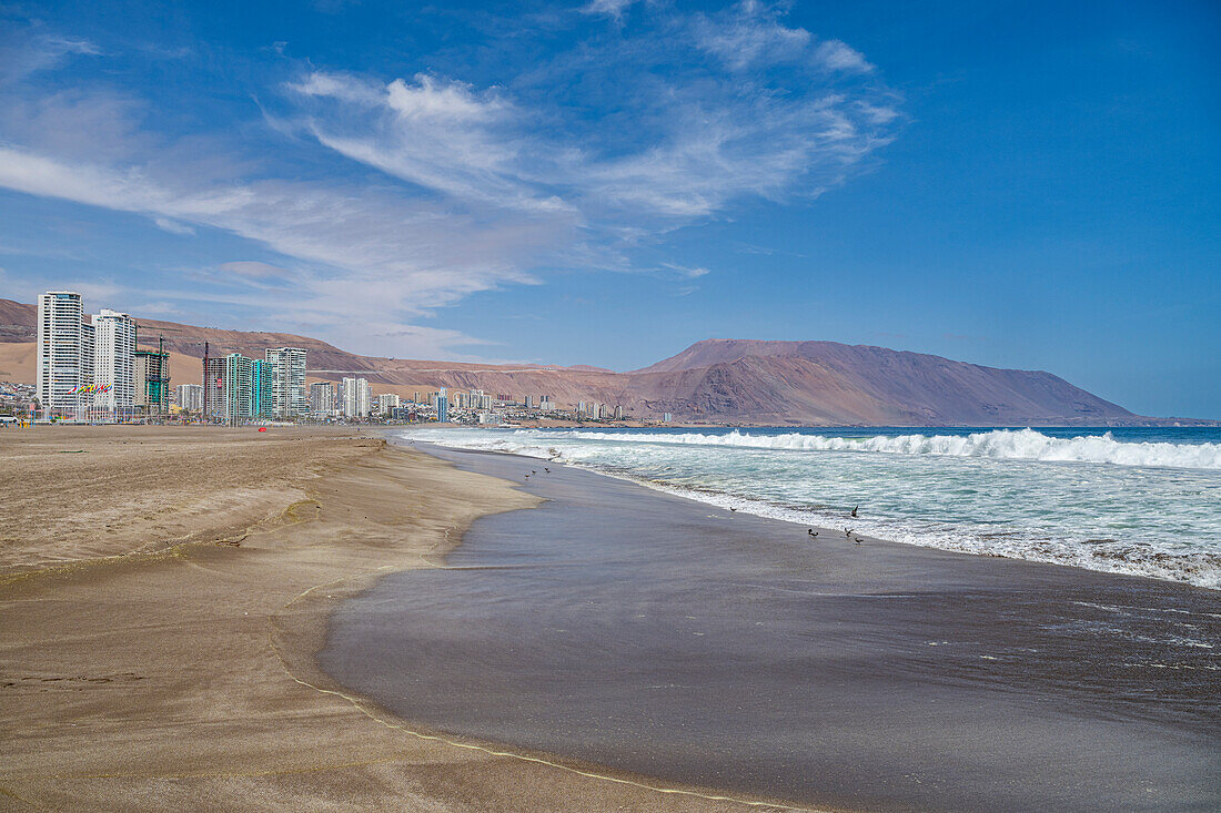 Beachfront of Iquique, Atacama desert, Chile, South America