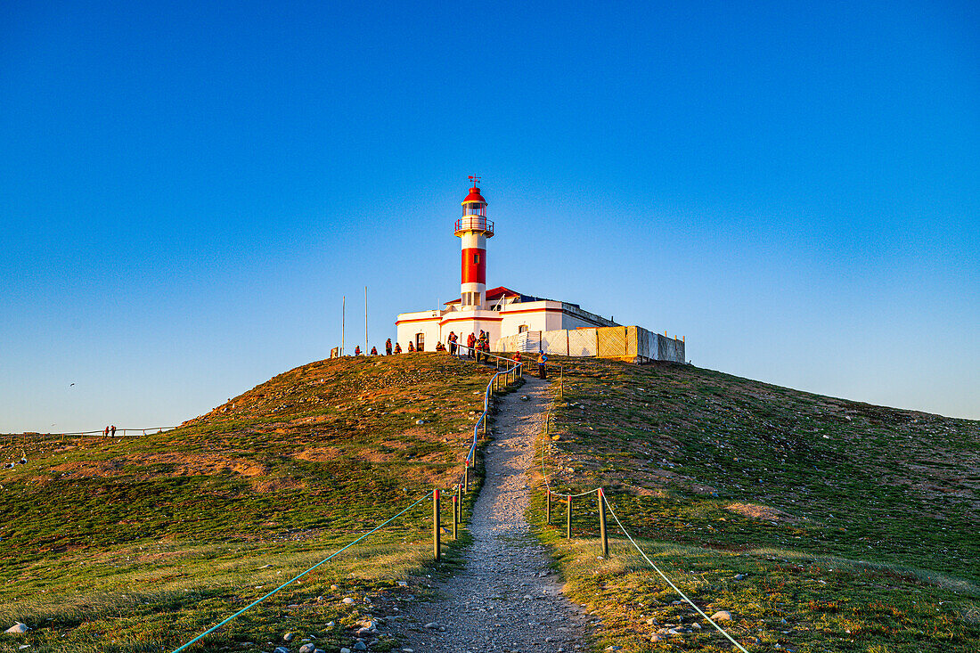 Leuchtturm auf der Insel Magdalena, Region Magallanes, Punta Arenas, Chile, Südamerika