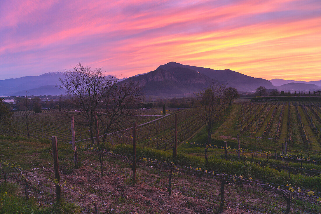 Landschaft der Franciacorta in der Provinz Brescia, Lombardei, Italien, Europa