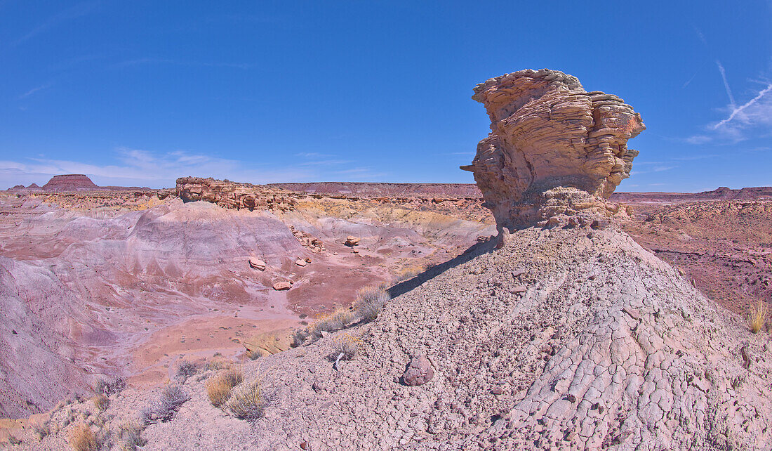 A lone hoodoo rock on the edge of a ridge overlooking the Jim Camp Wash on the south end of Petrified Forest National Park, Arizona, United States of America, North America