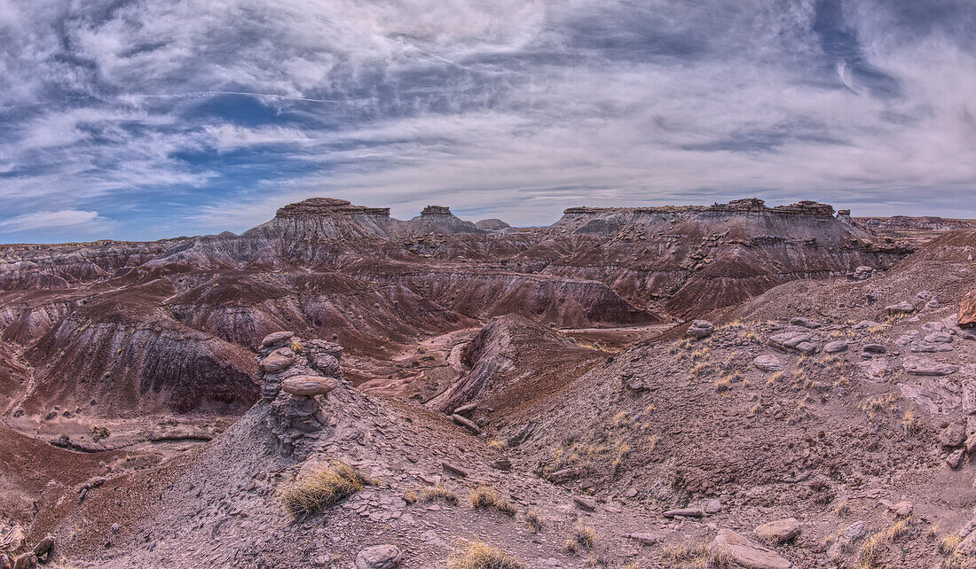 A purple canyon with a dry creek in between hills of bentonite in Petrified Forest National Park, Arizona, United States of America, North America