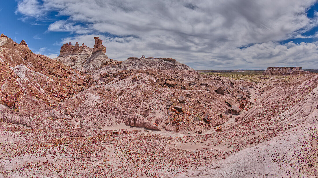 Hoodoo spires rising above the valley below the south side of Blue Mesa in Petrified Forest National Park, Arizona, United States of America, North America