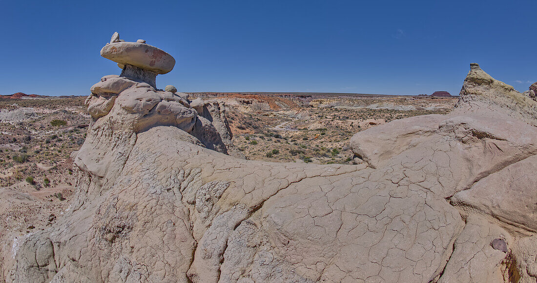 Pilzförmige Sandsteintürme auf einem erodierten Bergrücken westlich von Hamilili Point im Petrified Forest National Park, Arizona, Vereinigte Staaten von Amerika, Nordamerika