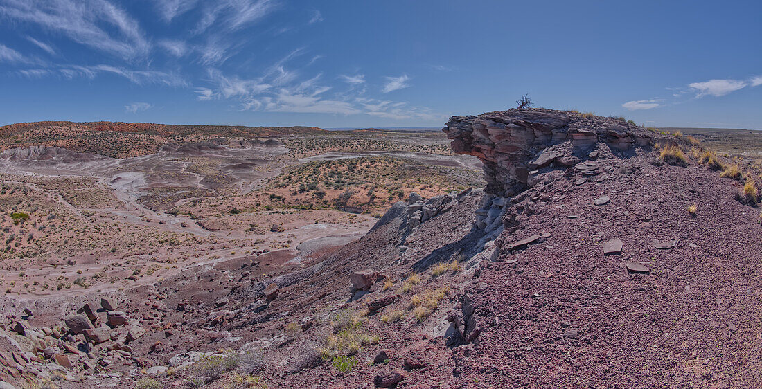 Blick vom Gipfel der Crystal Mesa westlich von Hamilili Point im Petrified Forest National Park, Arizona, Vereinigte Staaten von Amerika, Nordamerika