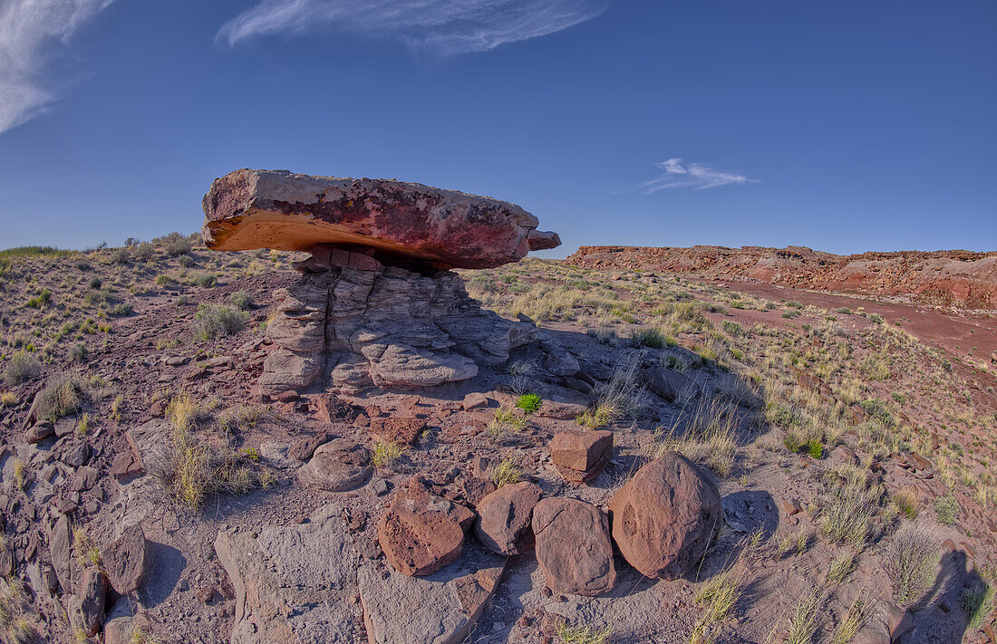 A rock table sculpted by the wind on Crystal Mesa west of Hamilili Point in Petrified Forest National Park, Arizona, United States of America, North America