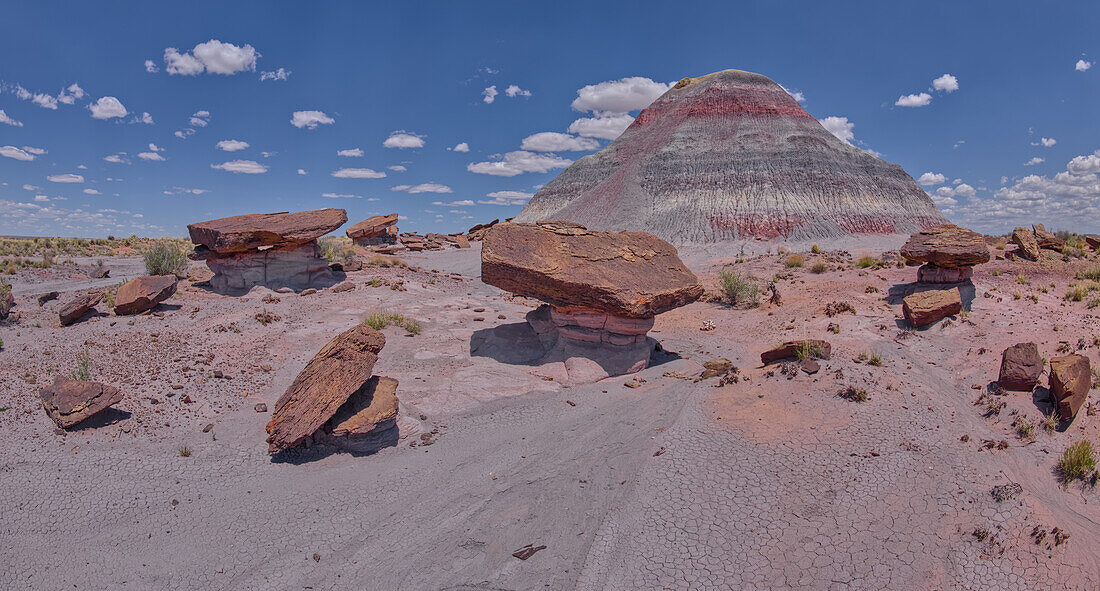 Der südliche Haystack Hill im Petrified Forest National Park, Arizona, Vereinigte Staaten von Amerika, Nordamerika