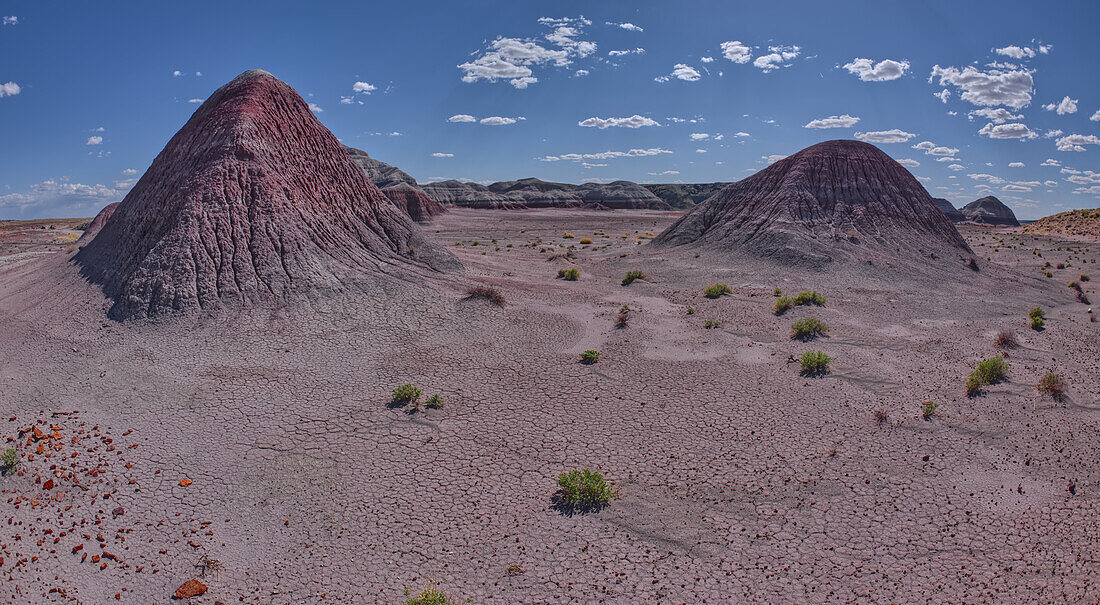 Die Little Teepees an der Nordseite der Haystack Mesa im Petrified Forest National Park, Arizona, Vereinigte Staaten von Amerika, Nordamerika