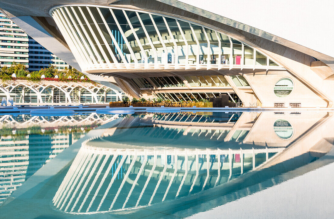 Palau de les Arts Reina Sofia (Palacio de las Artes Reina Sofia) (Kunstpalast der Königin Sofia), Ciudad de las Artes y las Ciencias (Stadt der Künste und der Wissenschaften), Valencia, Spanien, Europa