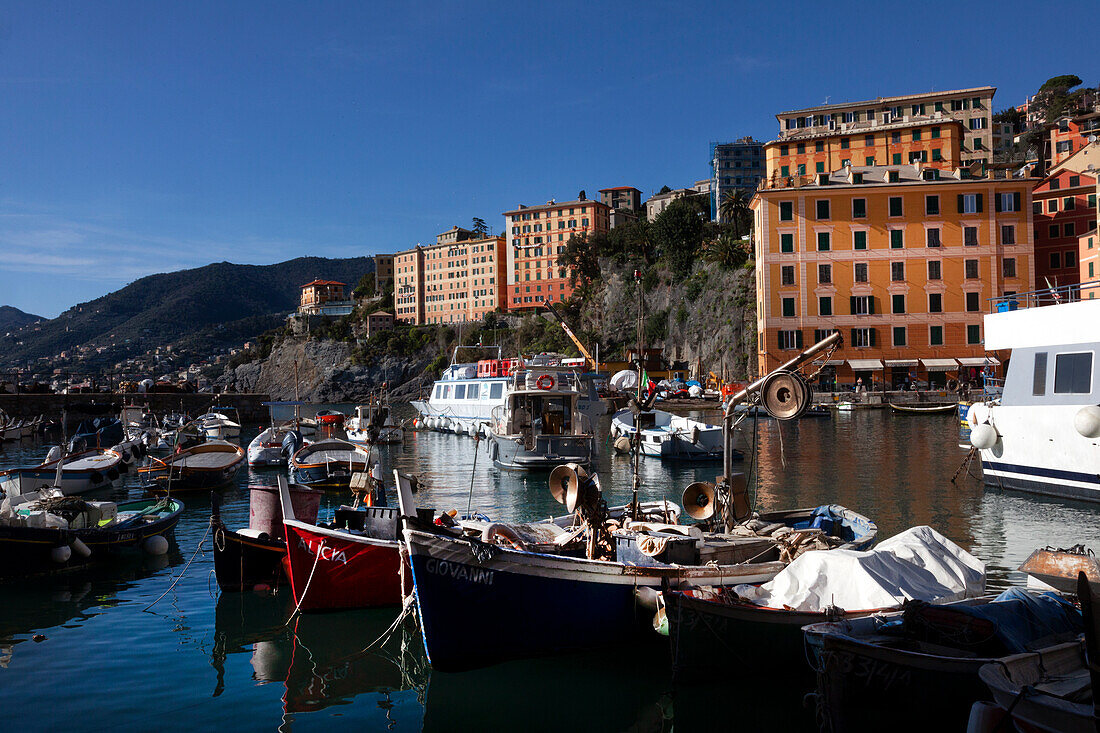 Camogli, a fishing village and tourist resort located on the west side of the peninsula of Portofino, Camogli, Liguria, Italy, Europe