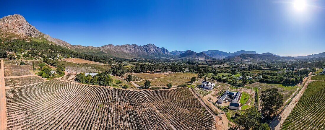 Pfade durch Blumen und Wildtiere im Mont Rochelle Nature Reserve mit Blick auf das Franschhoek-Tal und Franschhoek, eine Stadt mit jahrhundertealten Weinbergen und kapholländischer Architektur, Franschhoek, Westkap, Südafrika, Afrika