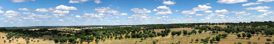 Panoramablick auf eine ruhige Landschaft mit sanften Hügeln, die von Eichen gesprenkelt sind, und weitläufigen Feldern unter einem bewölkten blauen Himmel, Alentejo, Portugal, Europa