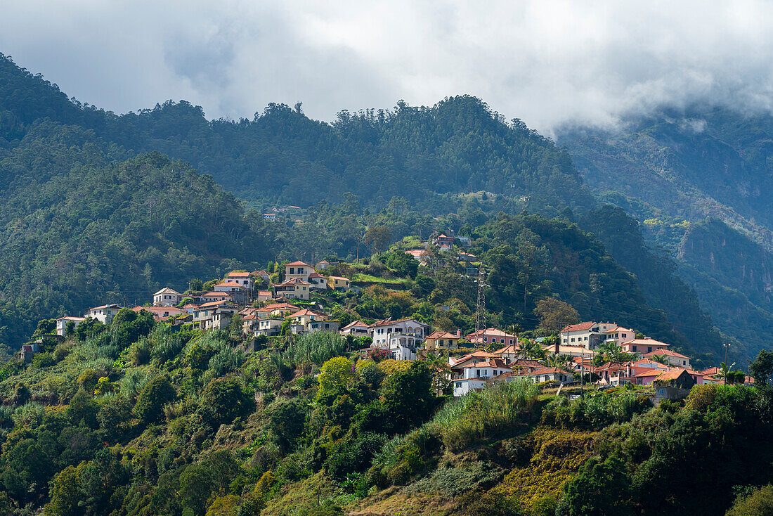 Houses on slope in Sao Roque do Faial in the mountains, Santana, Madeira, Portugal, Atlantic, Europe