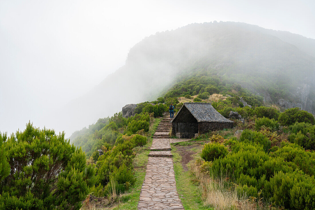 Woman trekking on trail to Pico Ruivo in foggy weather, Santana, Madeira, Portugal, Atlantic, Europe