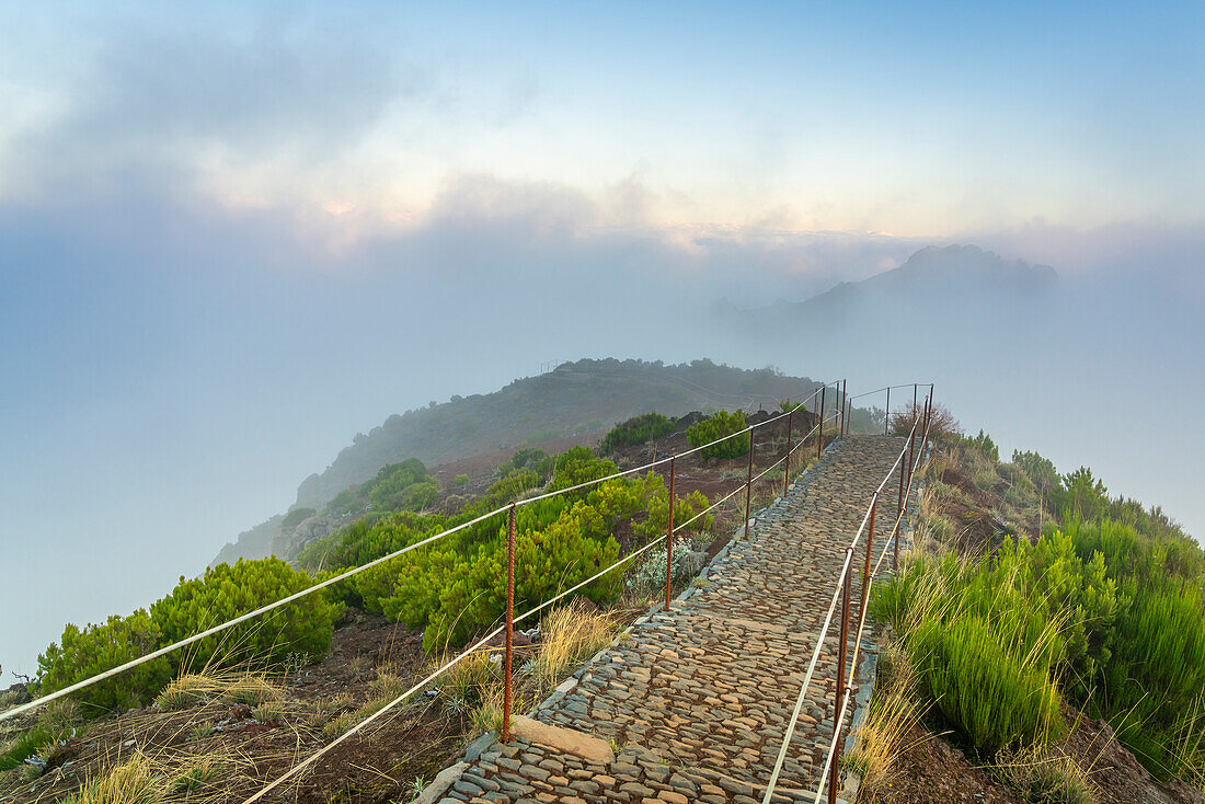 Wanderweg auf dem Gipfel des Pico Ruivo, Santana, Madeira, Portugal, Atlantik, Europa