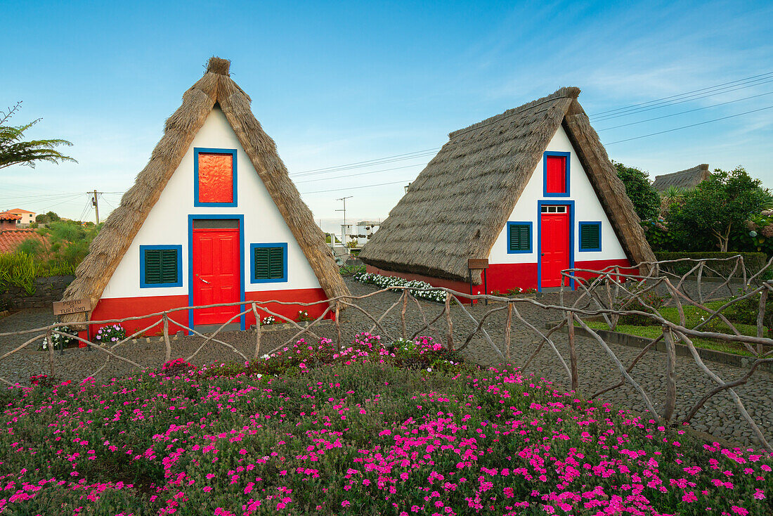 Traditional thatched houses with flowers at dawn, Santana, Madeira, Portugal, Atlantic, Europe