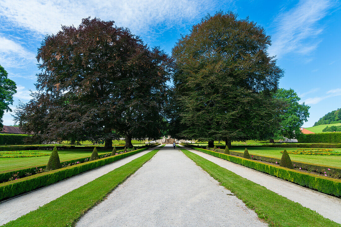 Trees in Zamecky Park (The Castle Garden), Cesky Krumlov, South Bohemian Region, Czech Republic (Czechia), Europe