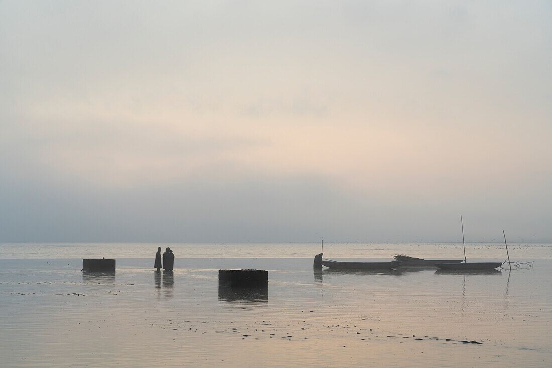 Fishermen preparing for fish harvest on foggy morning, Rozmberk Pond, UNESCO Biosphere, Trebon, Jindrichuv Hradec District, South Bohemian Region, Czech Republic (Czechia), Europe