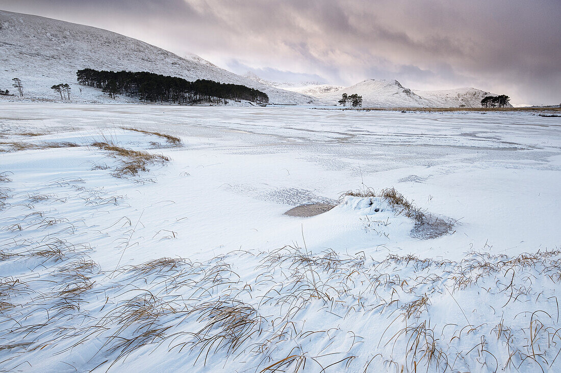 Frozen Loch Droma backed by Meall Breac, Dirrie More, Scottish Highlands, Scotland, United Kingdom, Europe