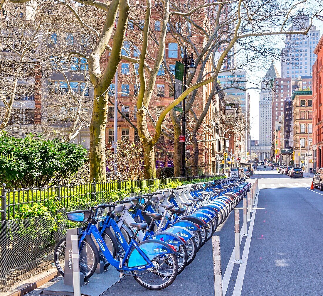 Leihfahrräder im Rahmen des Citi Bike-Systems, das 33000 Leihfahrräder an 1900 Stationen bereitstellt, New York City, Vereinigte Staaten von Amerika, Nordamerika