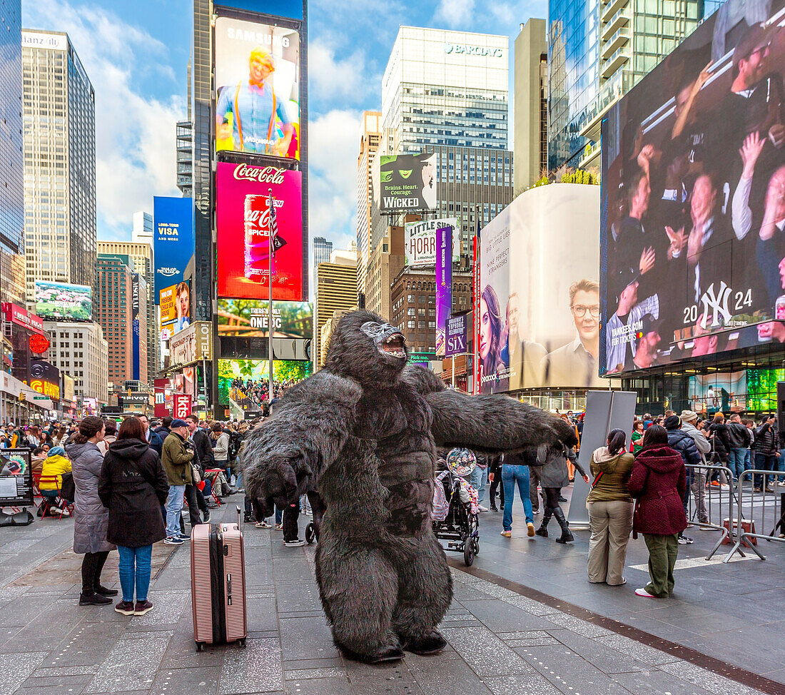 The Times Square Gorilla entertaining the crowds in Times Square, Midtown Manhattan, New York City, United States of America, North America