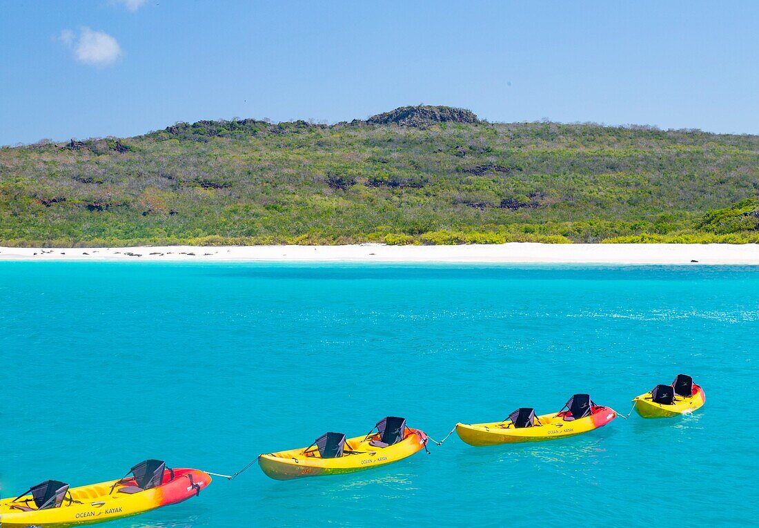 Brightly coloured kyaks in Gardner Bay, Espanola Island, Galapagos, UNESCO World Heritage Site, Ecuador, South America