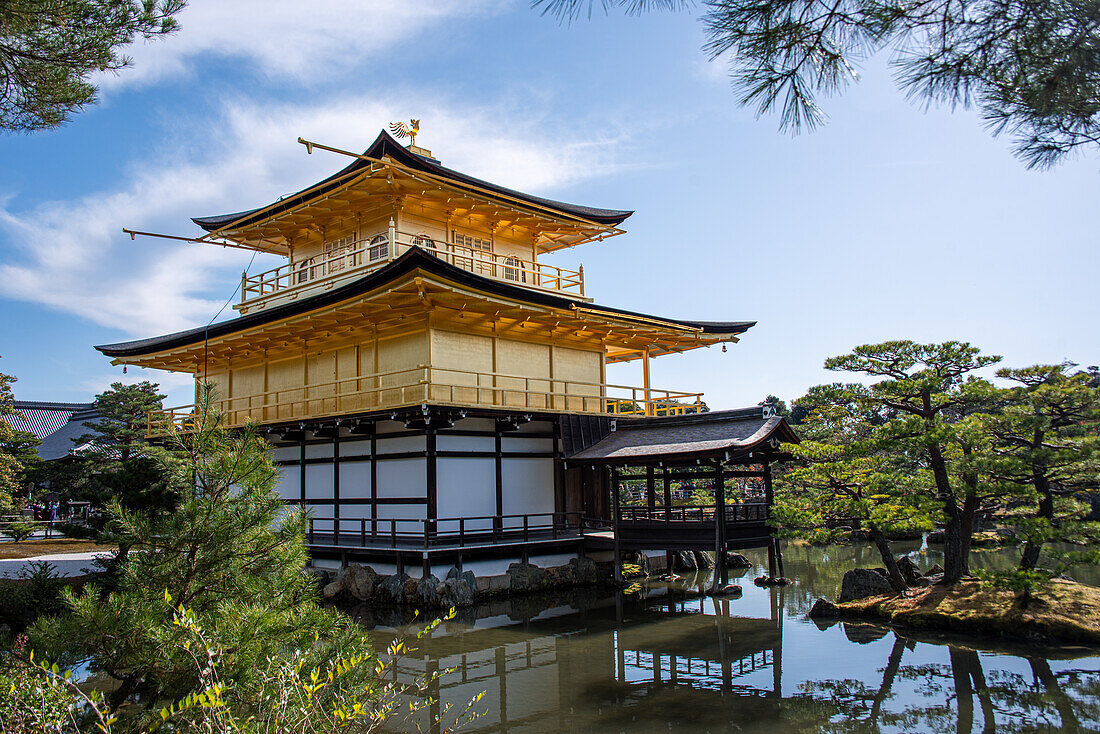 Golden Temple (Kinkaku-ji) reflected in the surrounding pond, UNESCO World Heritage Site, Kyoto, Honshu, Japan, Asia