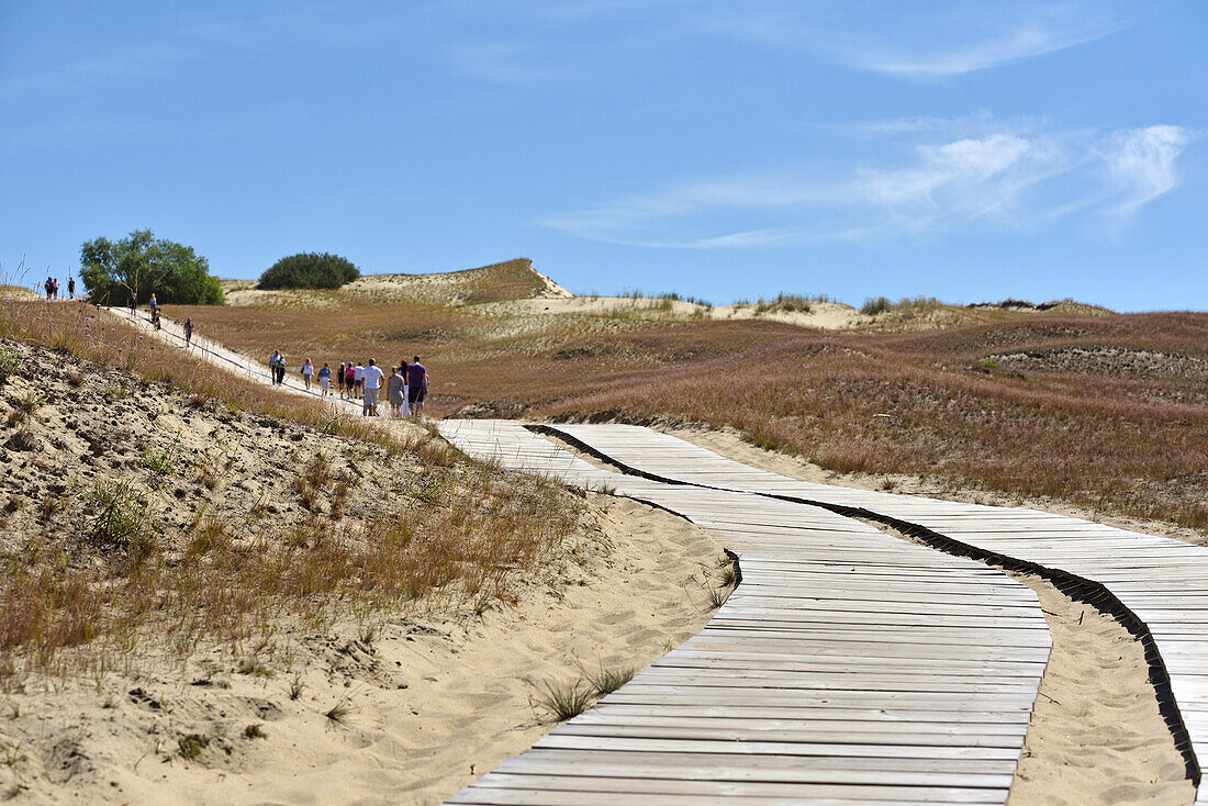 Kognitiver Pfad durch Sanddünen, Naturschutzgebiet Nagliai, Kurische Nehrung, Litauen, Baltikum, Nordeuropa