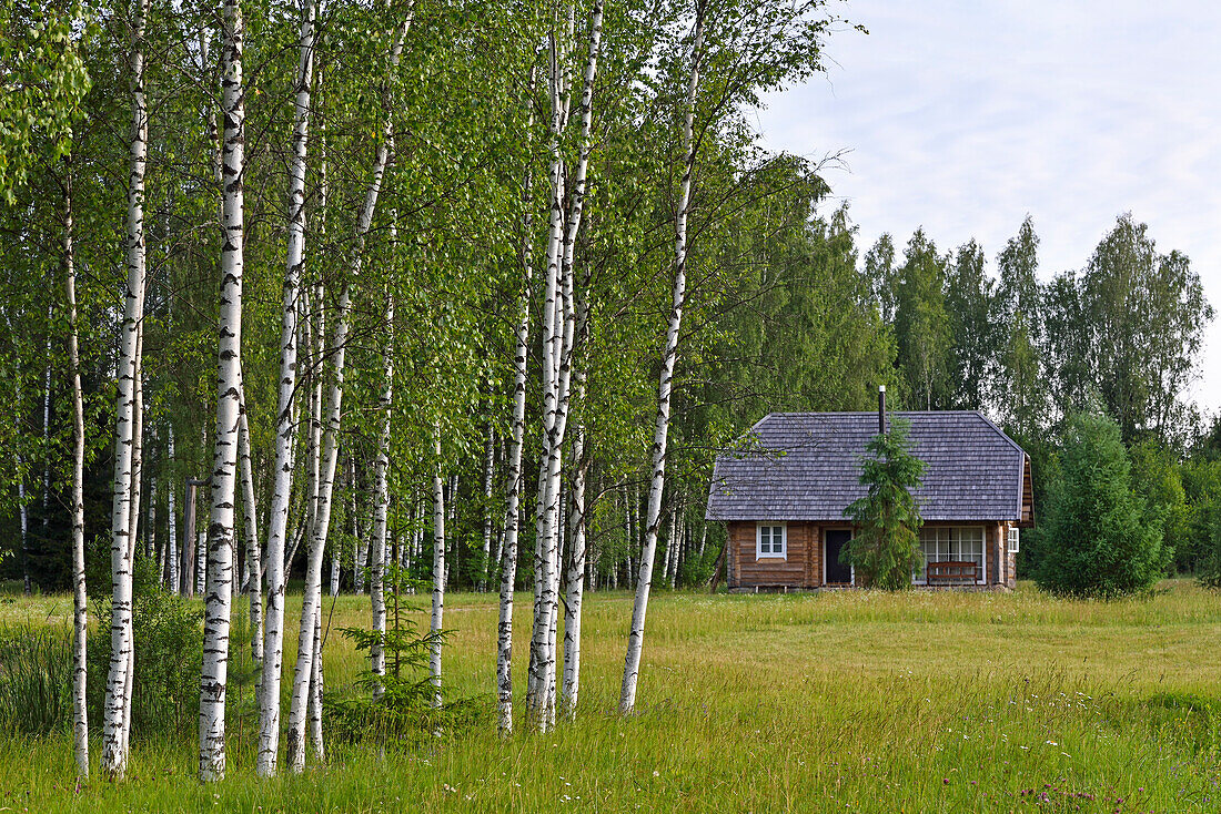 Log house, Miskiniskes rural accommodations, Aukstaitija National Park, Lithuania, Europe