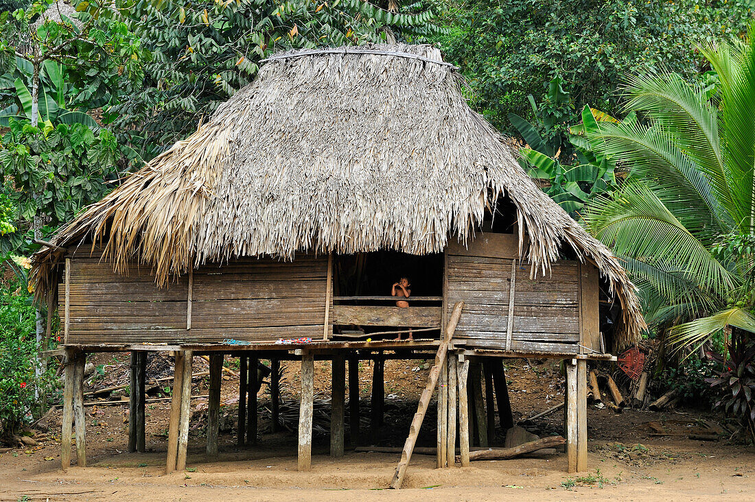 Strohdachhaus in einem Dorf der Embera-Gemeinschaft am Chagres-Fluss im Chagres-Nationalpark, Republik Panama, Mittelamerika