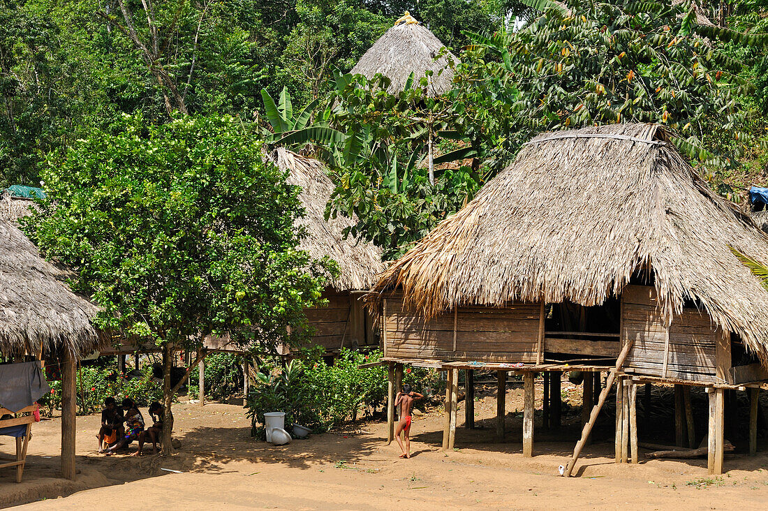 Strohgedeckte Häuser in einem Dorf der Embera-Gemeinschaft am Chagres-Fluss im Chagres-Nationalpark, Republik Panama, Mittelamerika