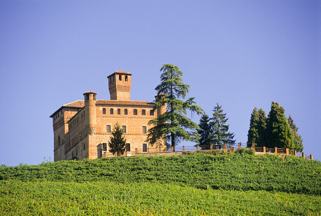 Medieval castle of Grinzane Cavour in vineyards, Province of Cuneo, Piedmont region, Italy, Europe